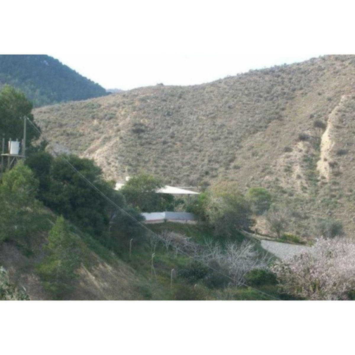 FINCA MURCIA PUERTO GARRUCHAL