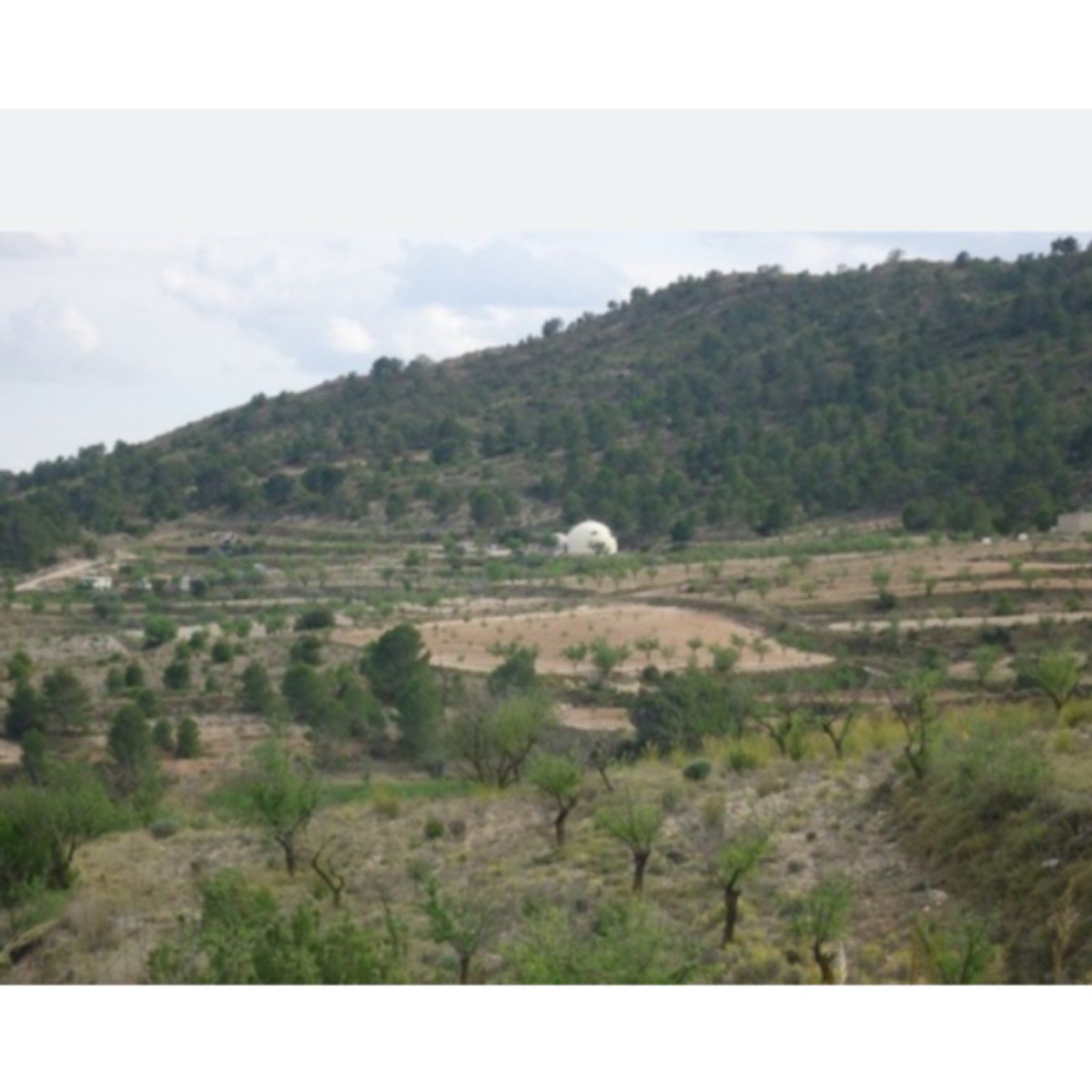 PARCELA EDIFICABLE EN YECLA 32. 949 M2