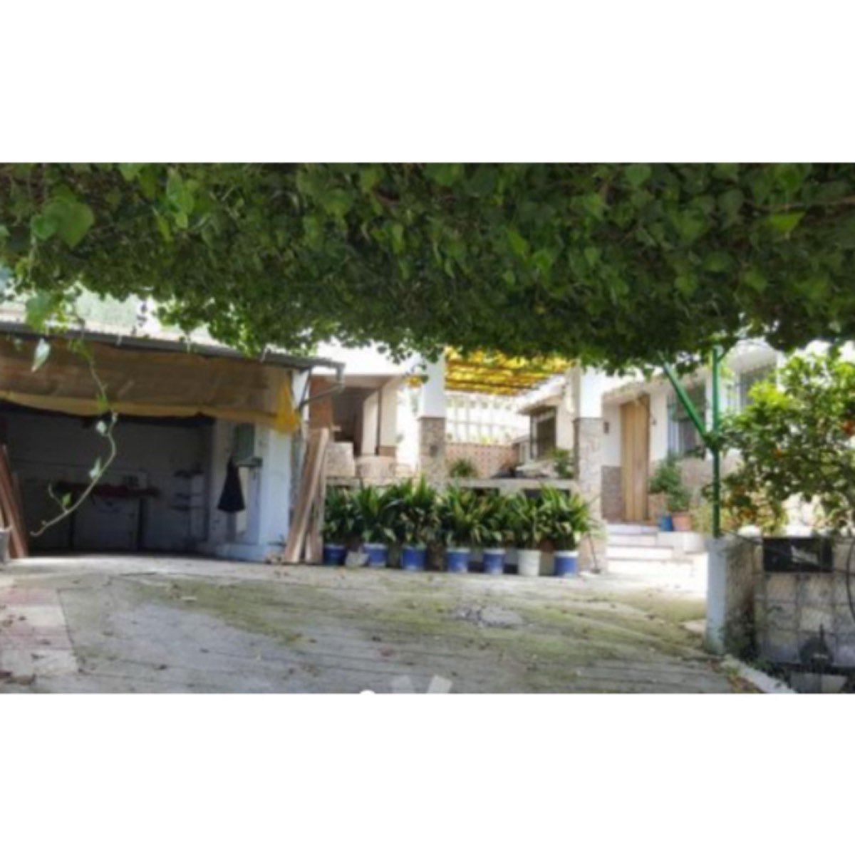 CASA RURAL LOS OLIVARES