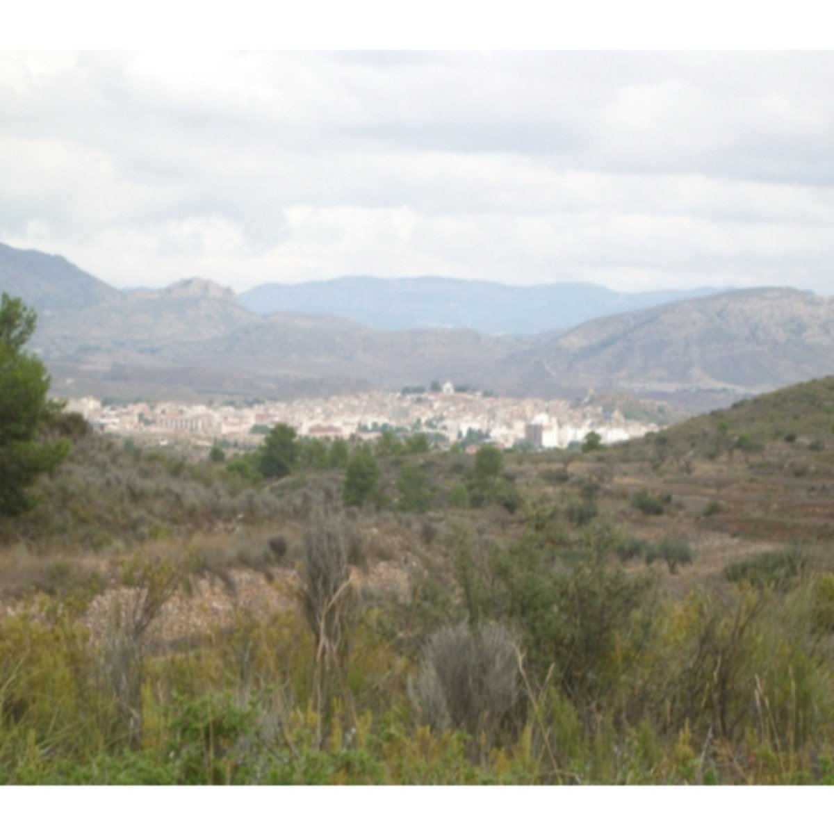 FINCA HACIENDA EN MONOVAR