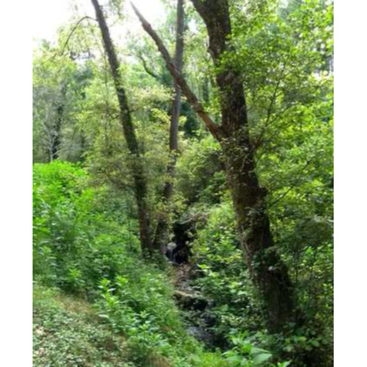 ENTRE ARENAS Y CUEVAS DEL AGUILA