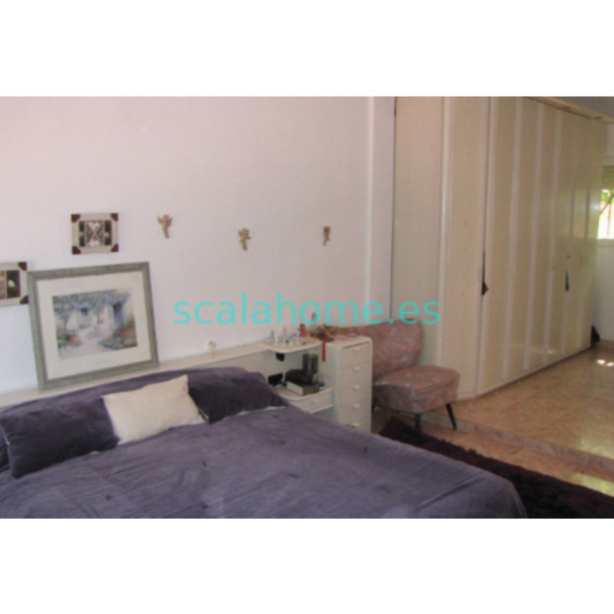 FINCA EN SAX