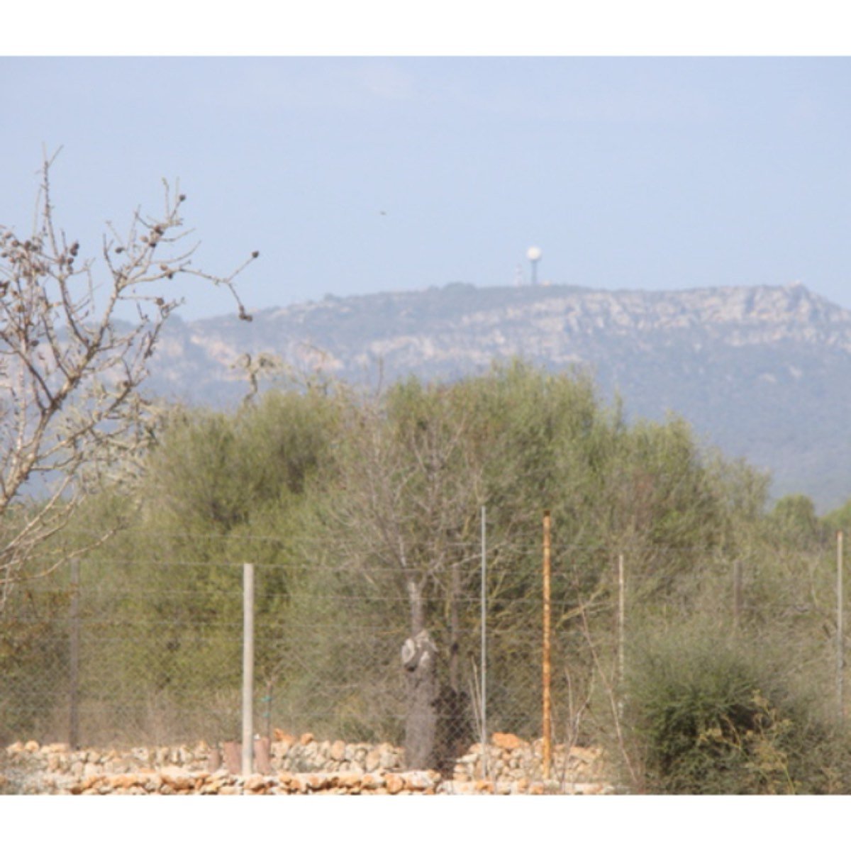PRECIOSA FINCA EN CAMPOS