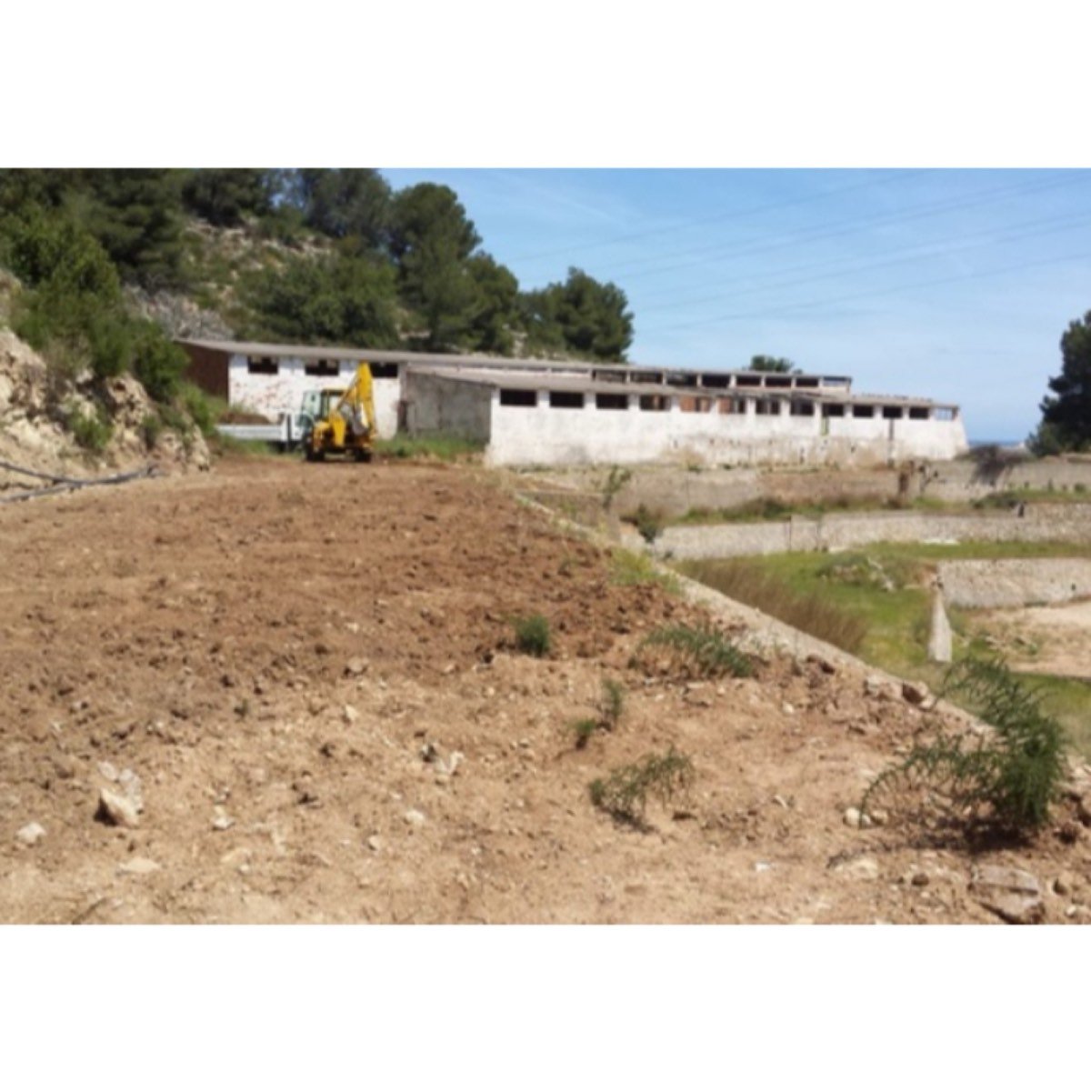 FINCA EN XERESA