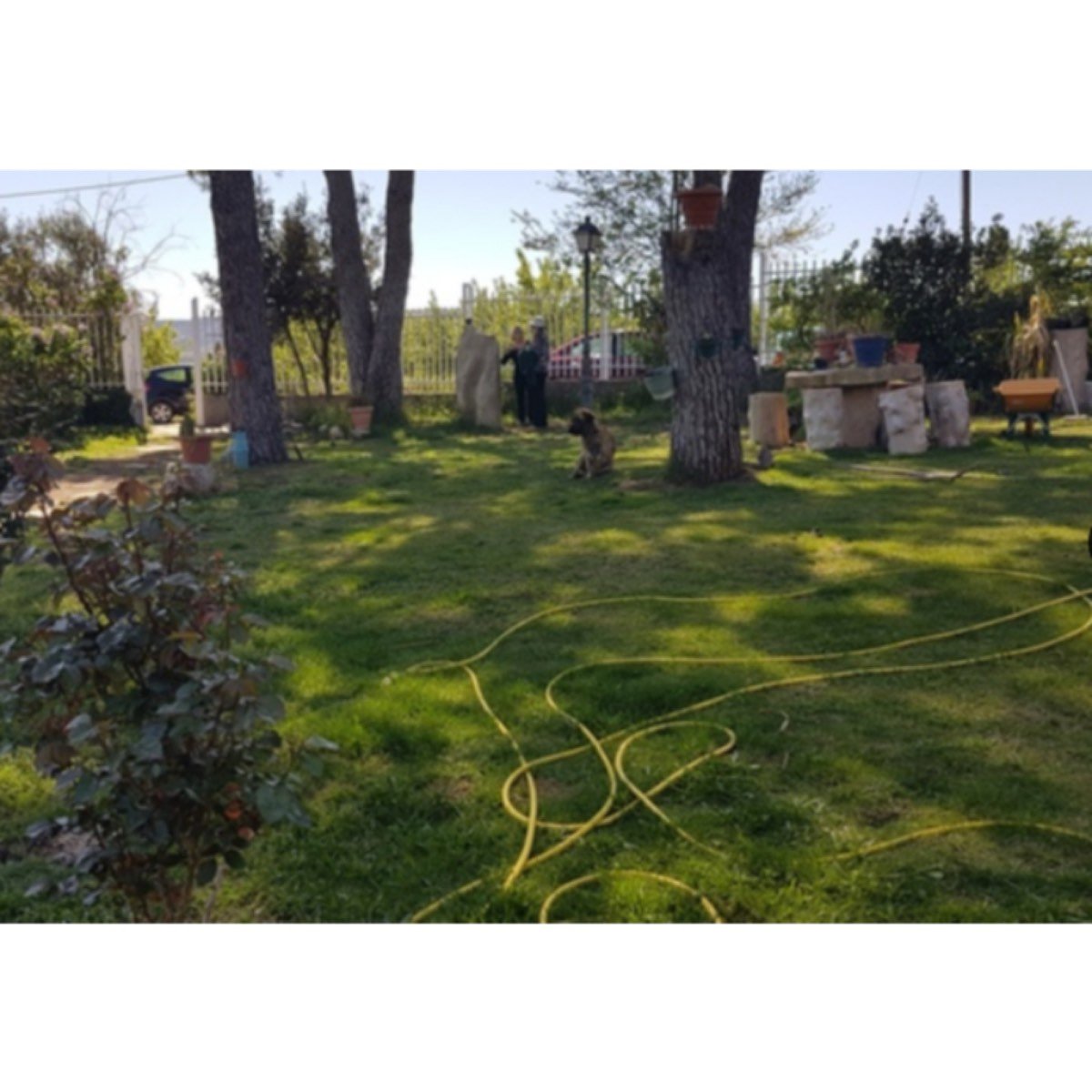 BONITA Y PRIVADA FINCA EN VENTA 52 HECT.