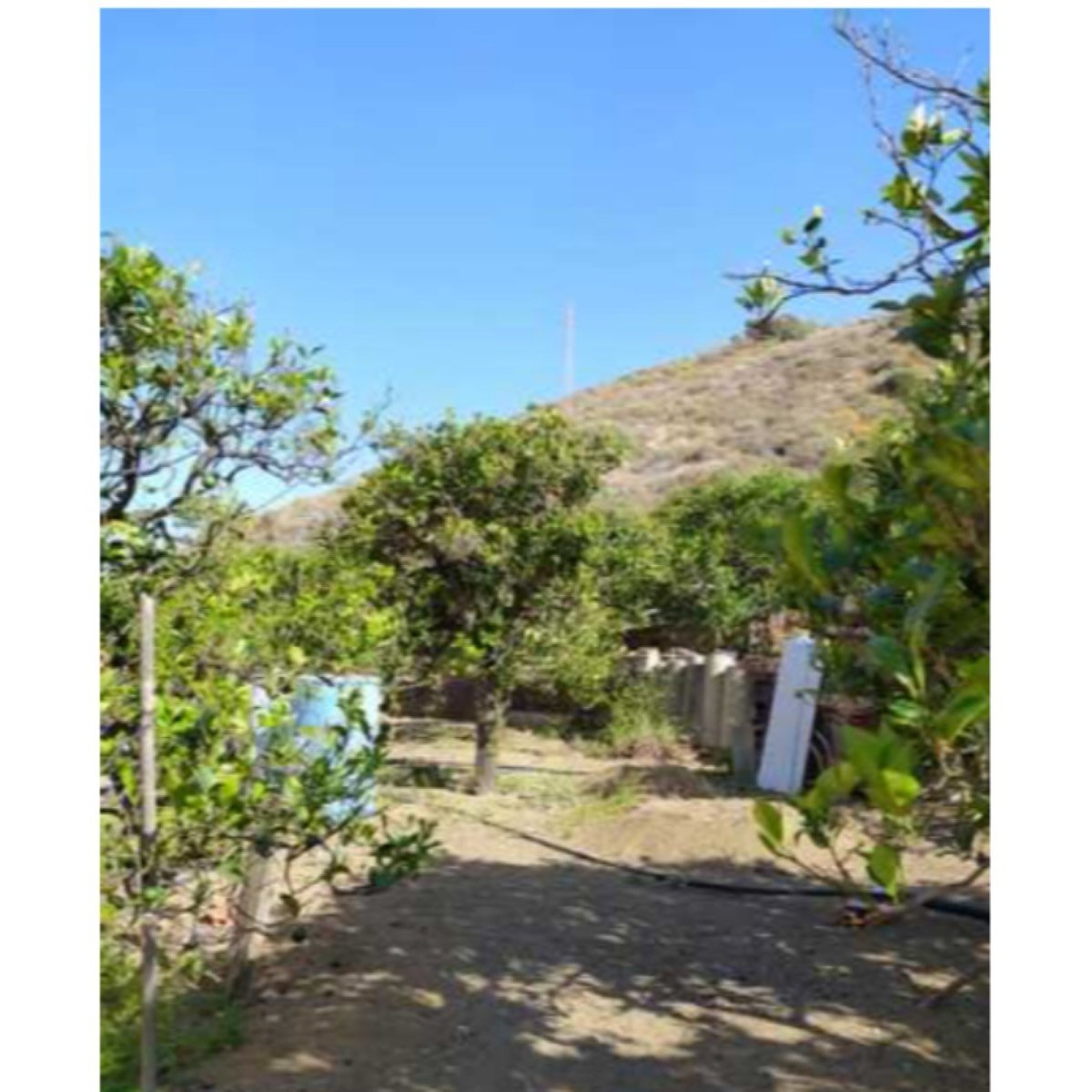 SE VENDE FINCA CON AGUA TELDE