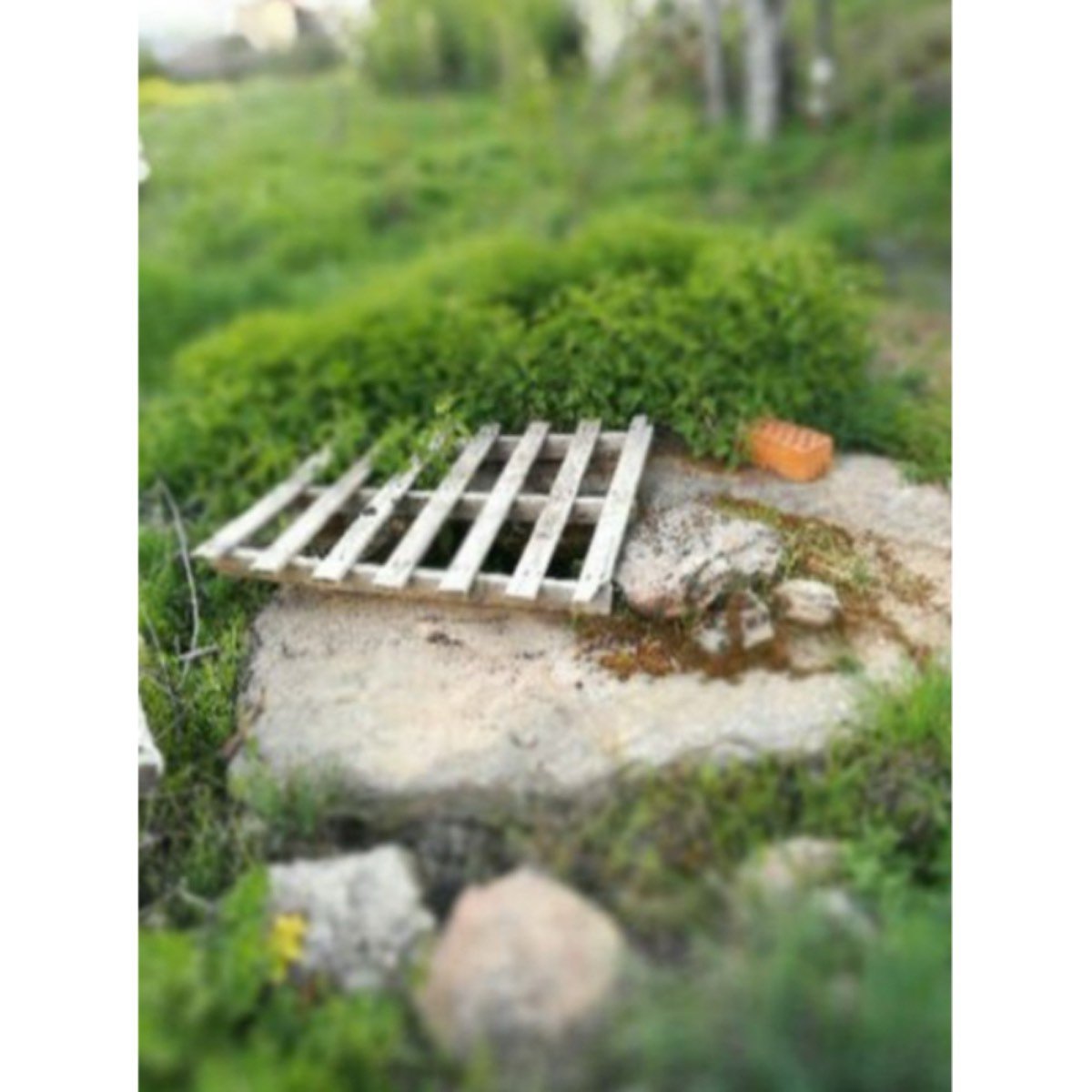 BUSCA UNA FINCA ESCRIBENOS