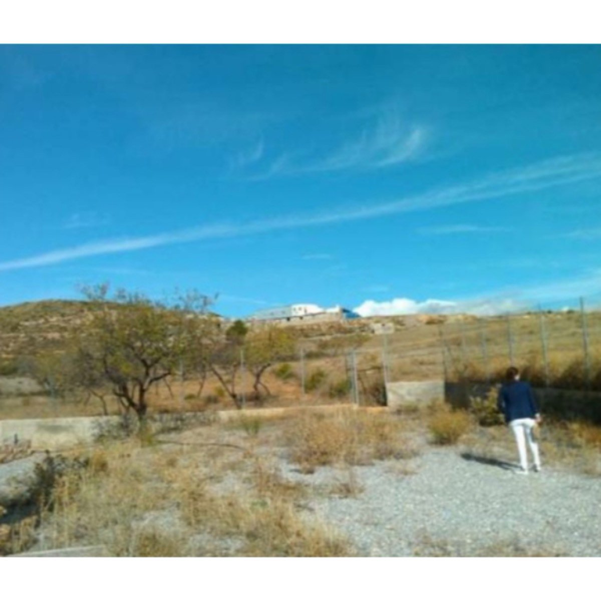 FINCA EN LA CANTINILLA MORANTE, LAUJAR DE ANDARAX
