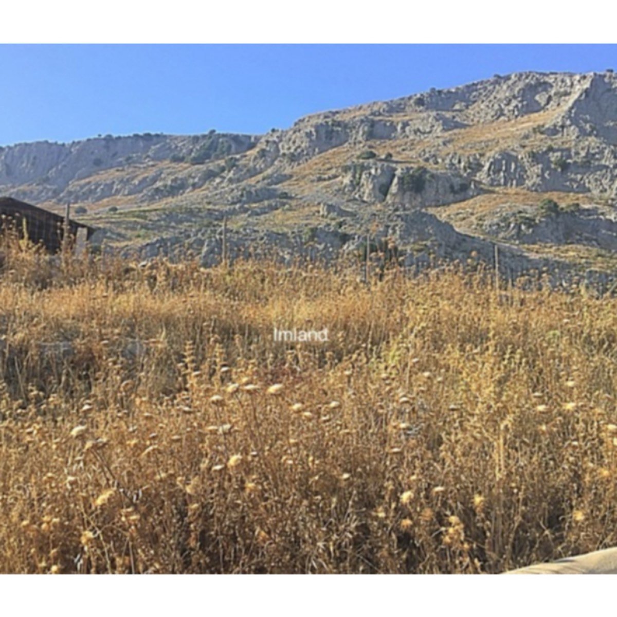 GRAN FINCA EN ALFARNATE Y PERIANA
