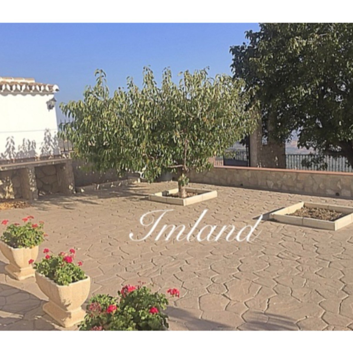 GRAN FINCA EN ALFARNATE Y PERIANA