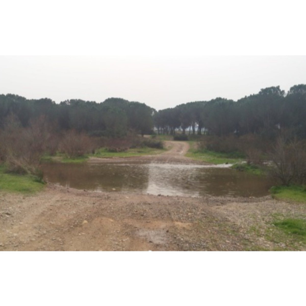 FINCA ESPECTACULAR EN EL SOLSONES.