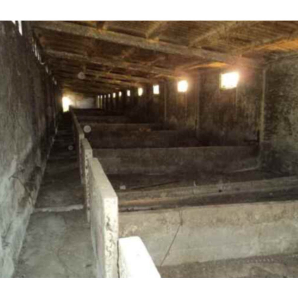 FINCA 16. 700M2 LUGAR DE SUEVOS