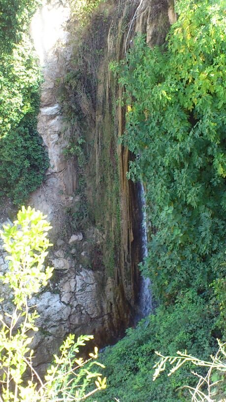 Olivar Producción Ecológica en Priego