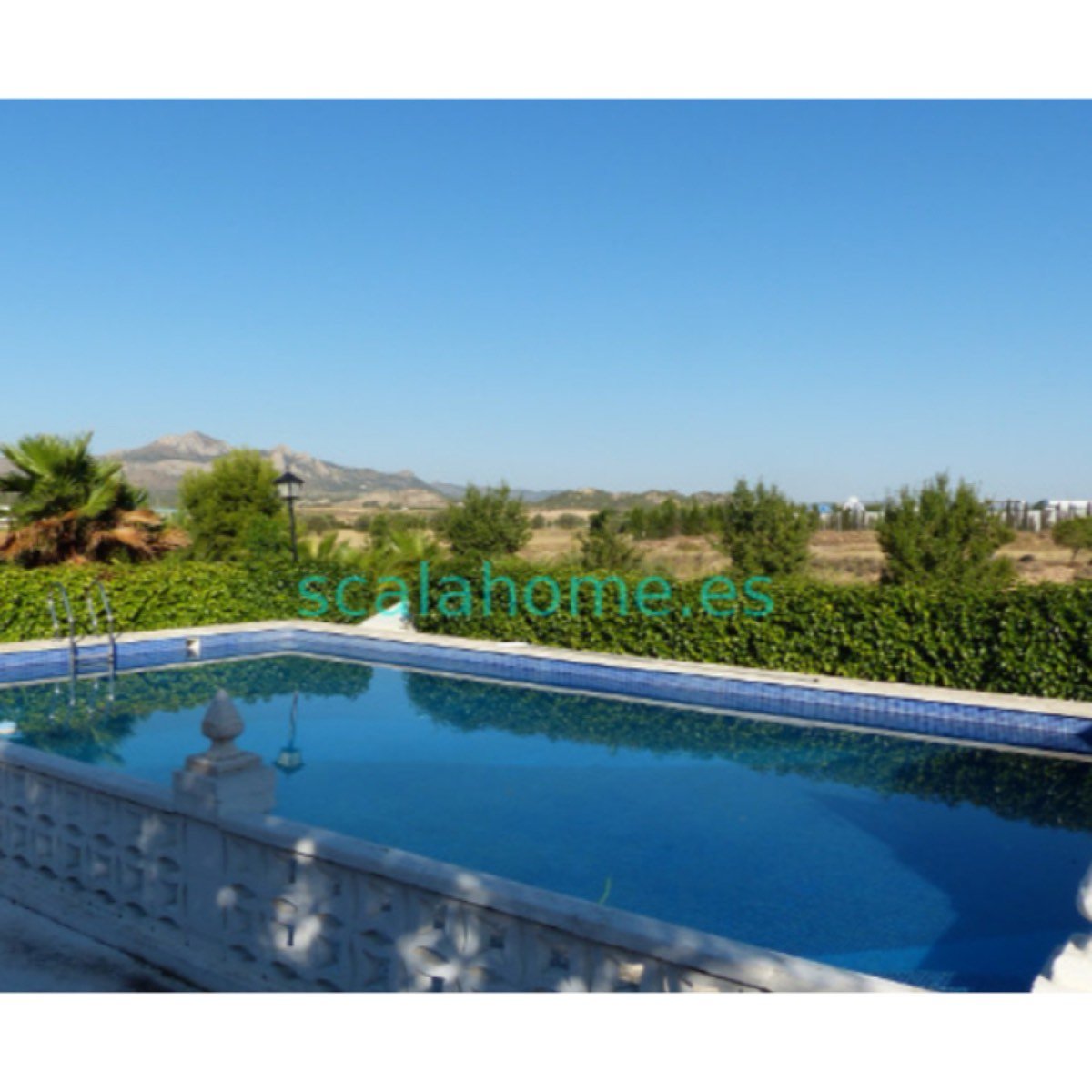 FINCA EN SAX
