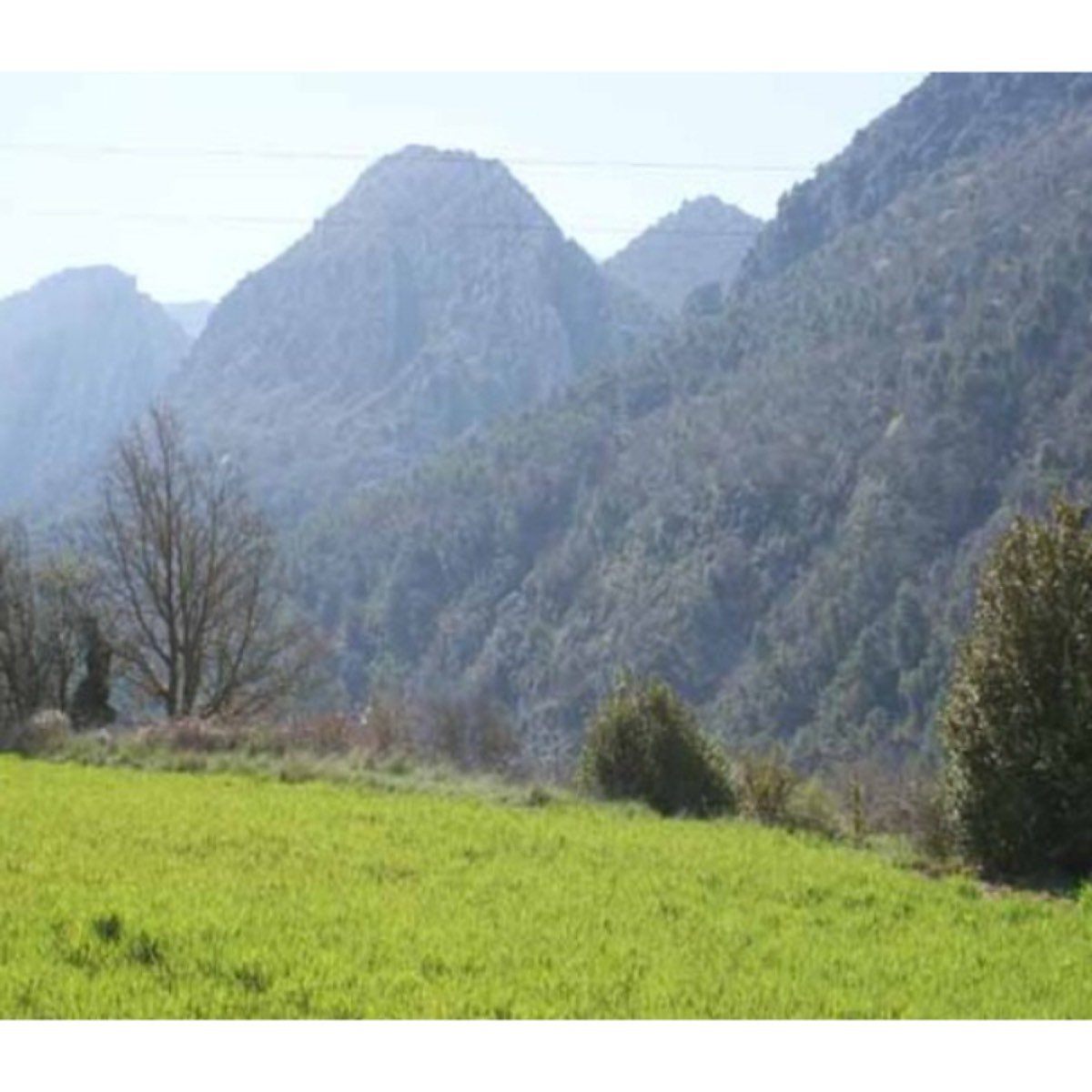 FINCA DE RECREO Y TURISMO RURAL