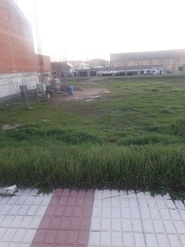 FOTO PARCELA