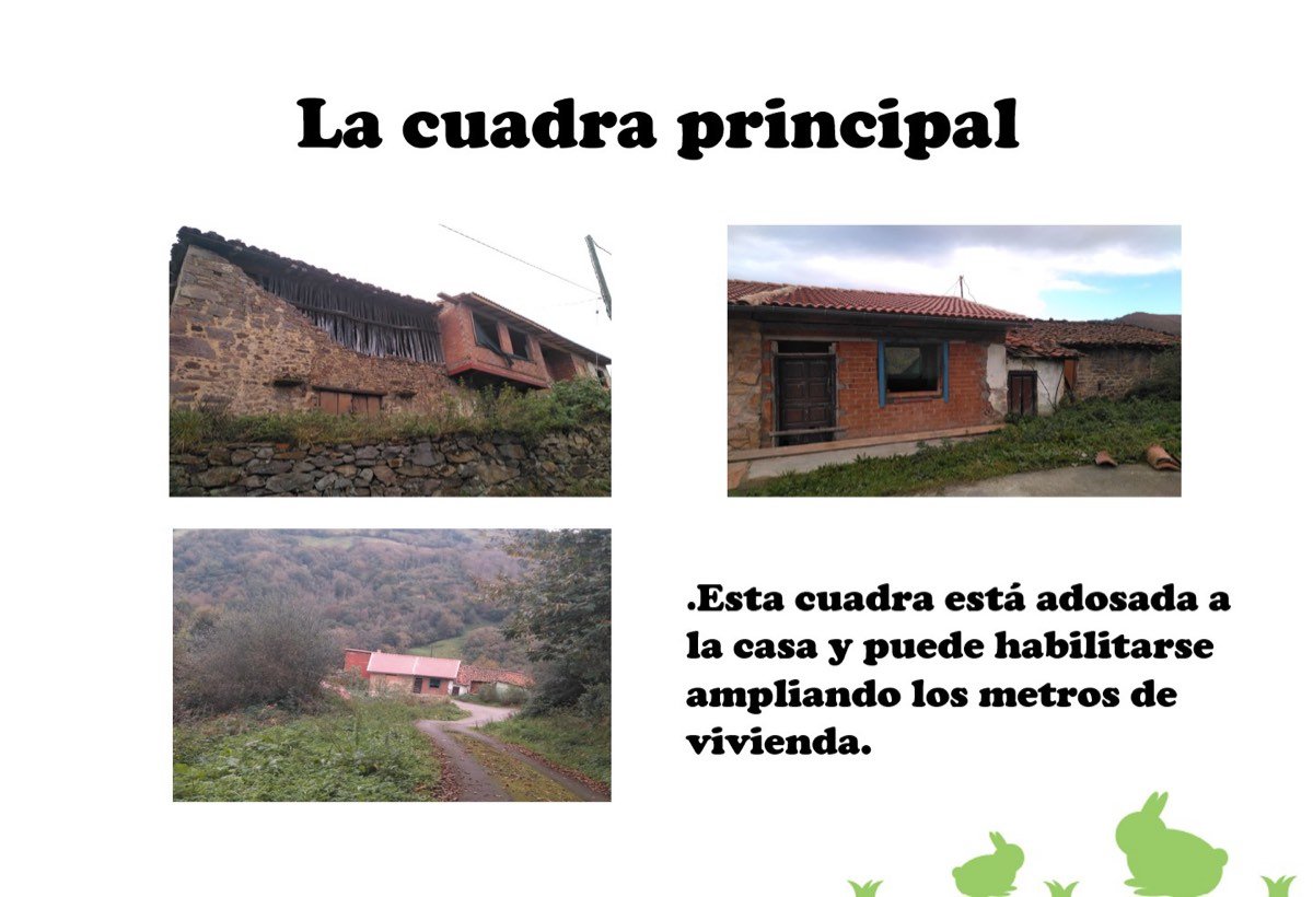 cuadra-principal