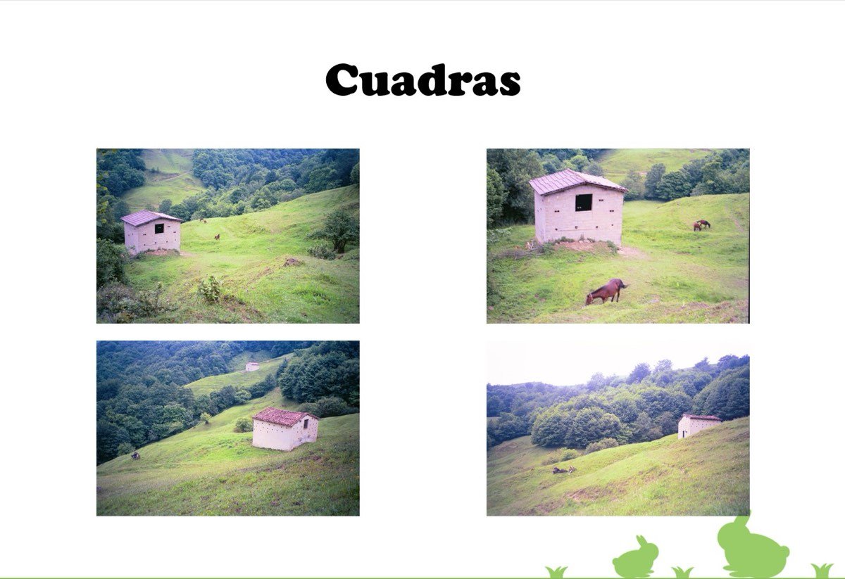 cuadras