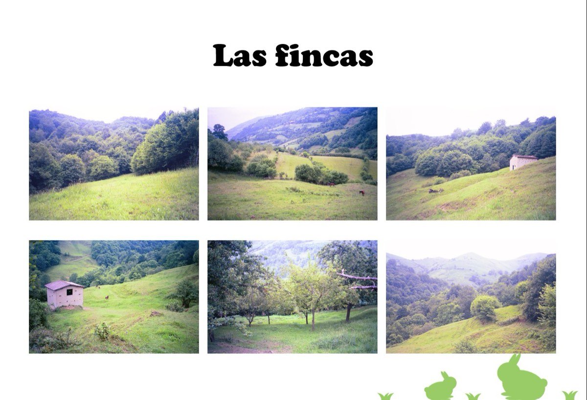 fincas