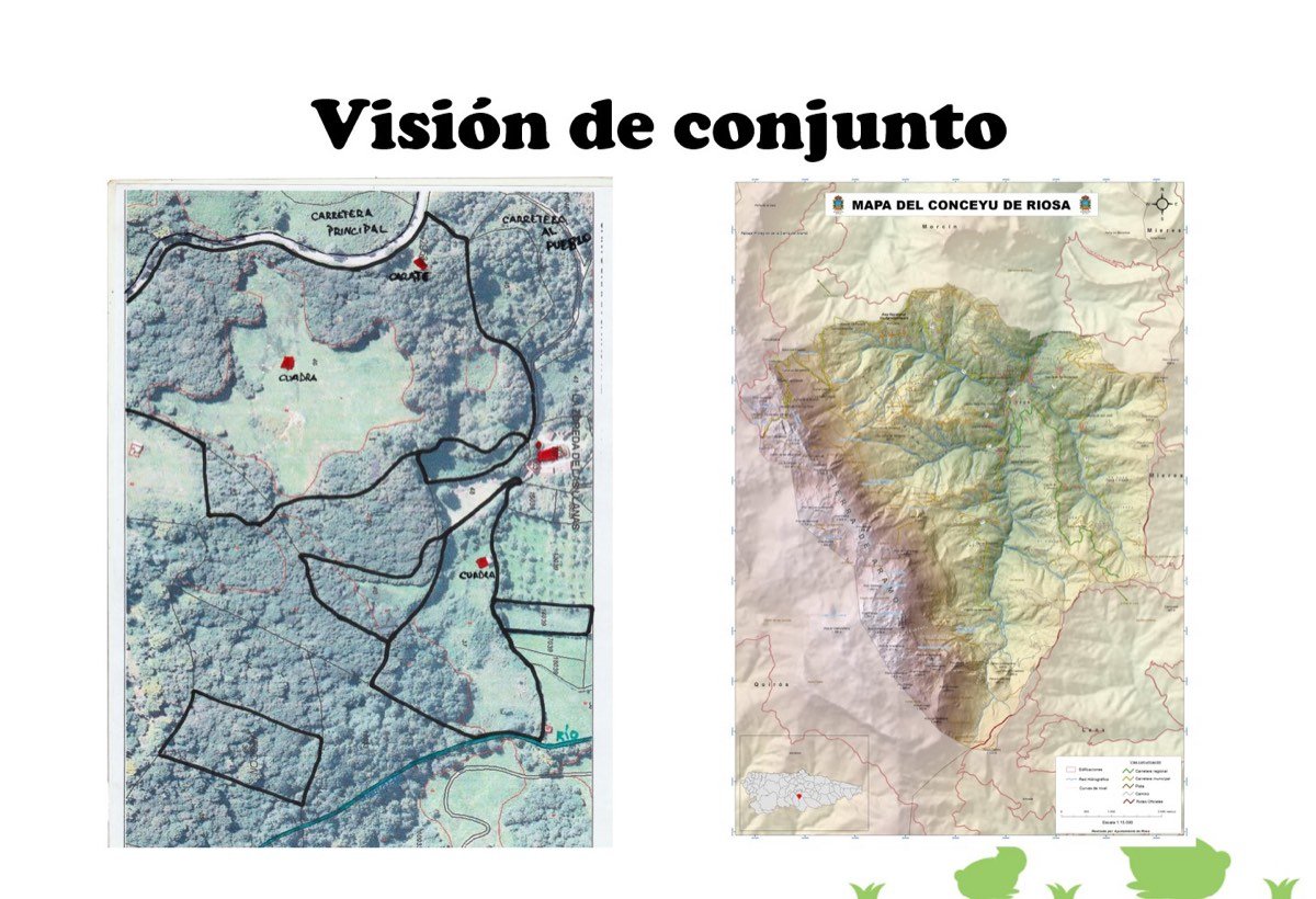 vision-del-conjunto
