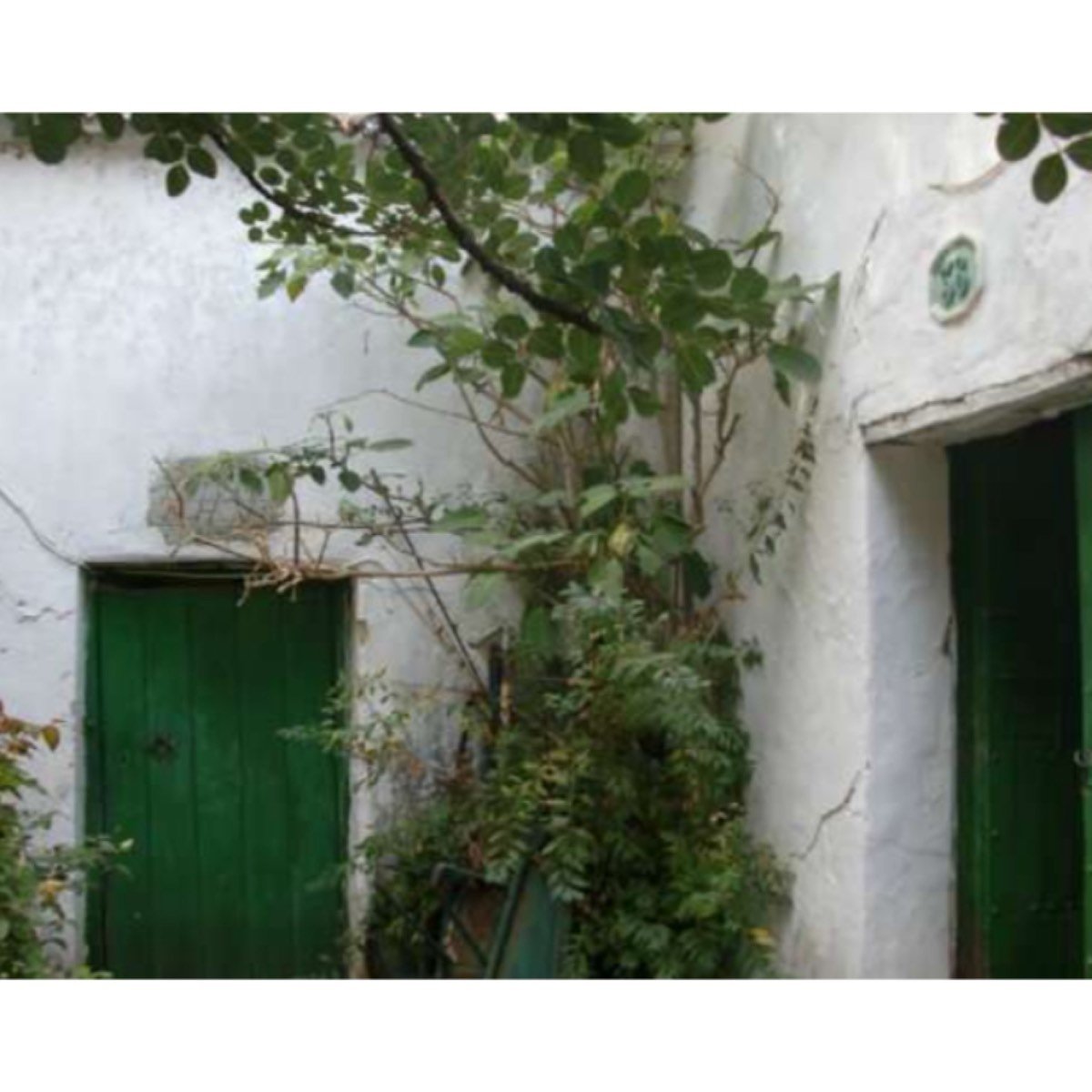 CORTIJO GRANDE, MUCHAS POSIBILIDADES