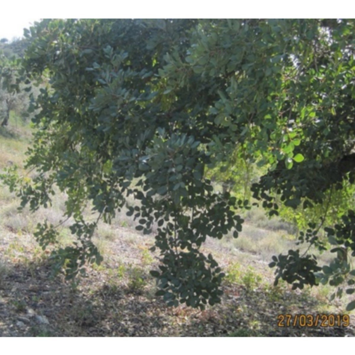 ESPECTACULAR FINCA PEGADA PANTANO AGUJER