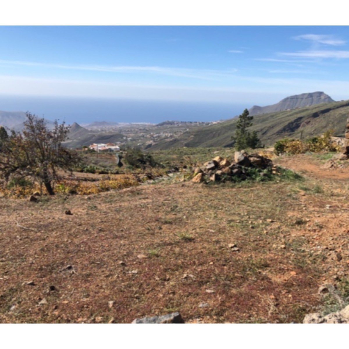 FINCA JAMA 775M