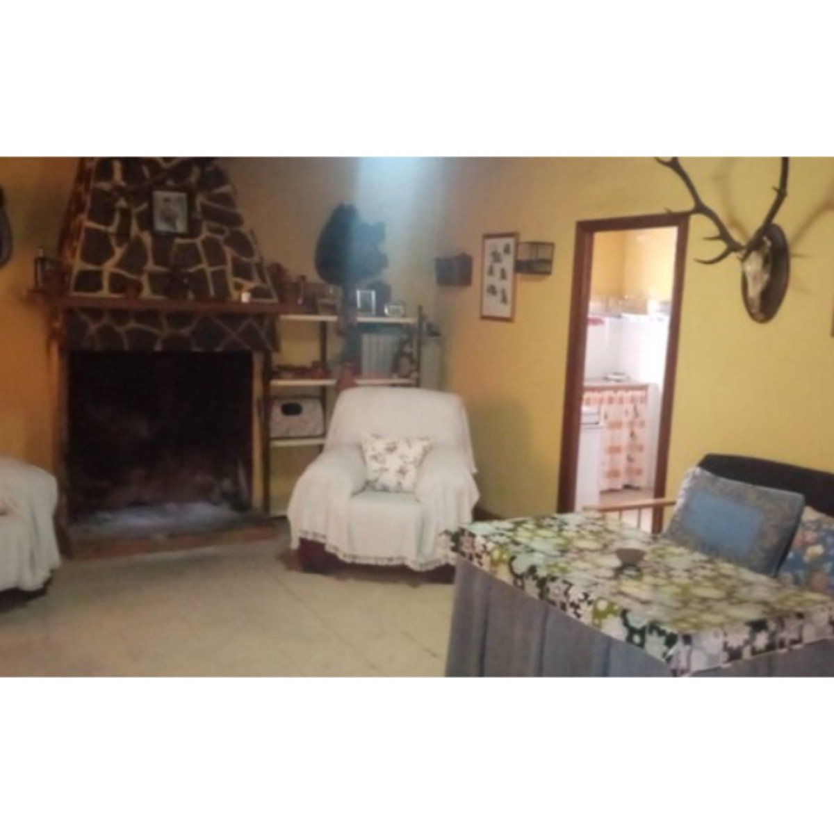 VIVIENDA RURAL EN SIERRA MORENA