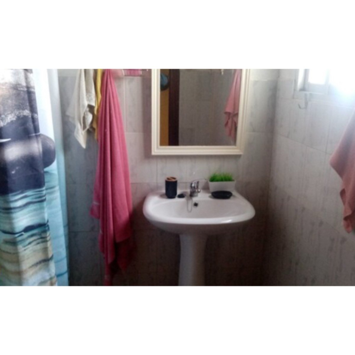 VIVIENDA RURAL EN SIERRA MORENA