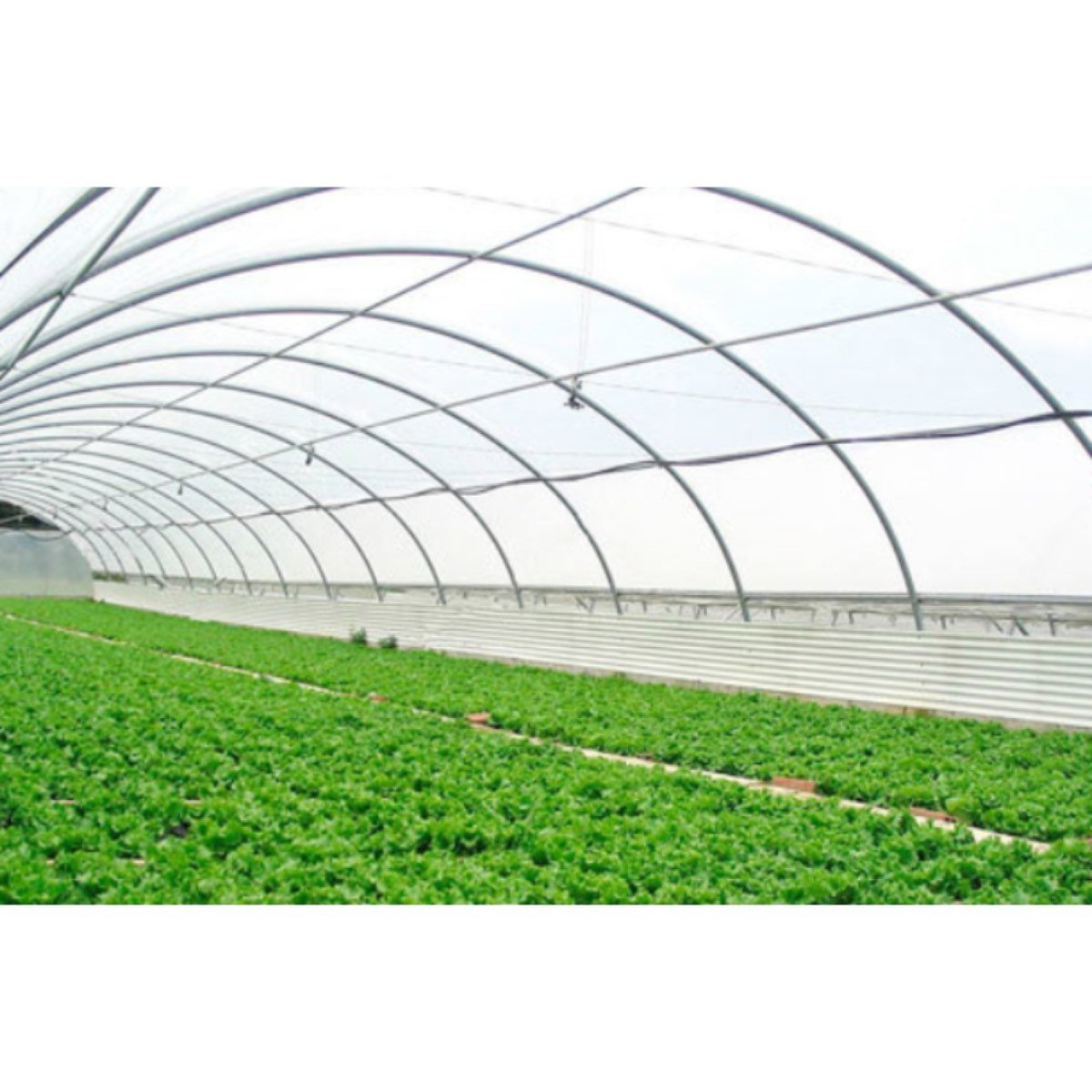 INGENIERIA AGRICOLA