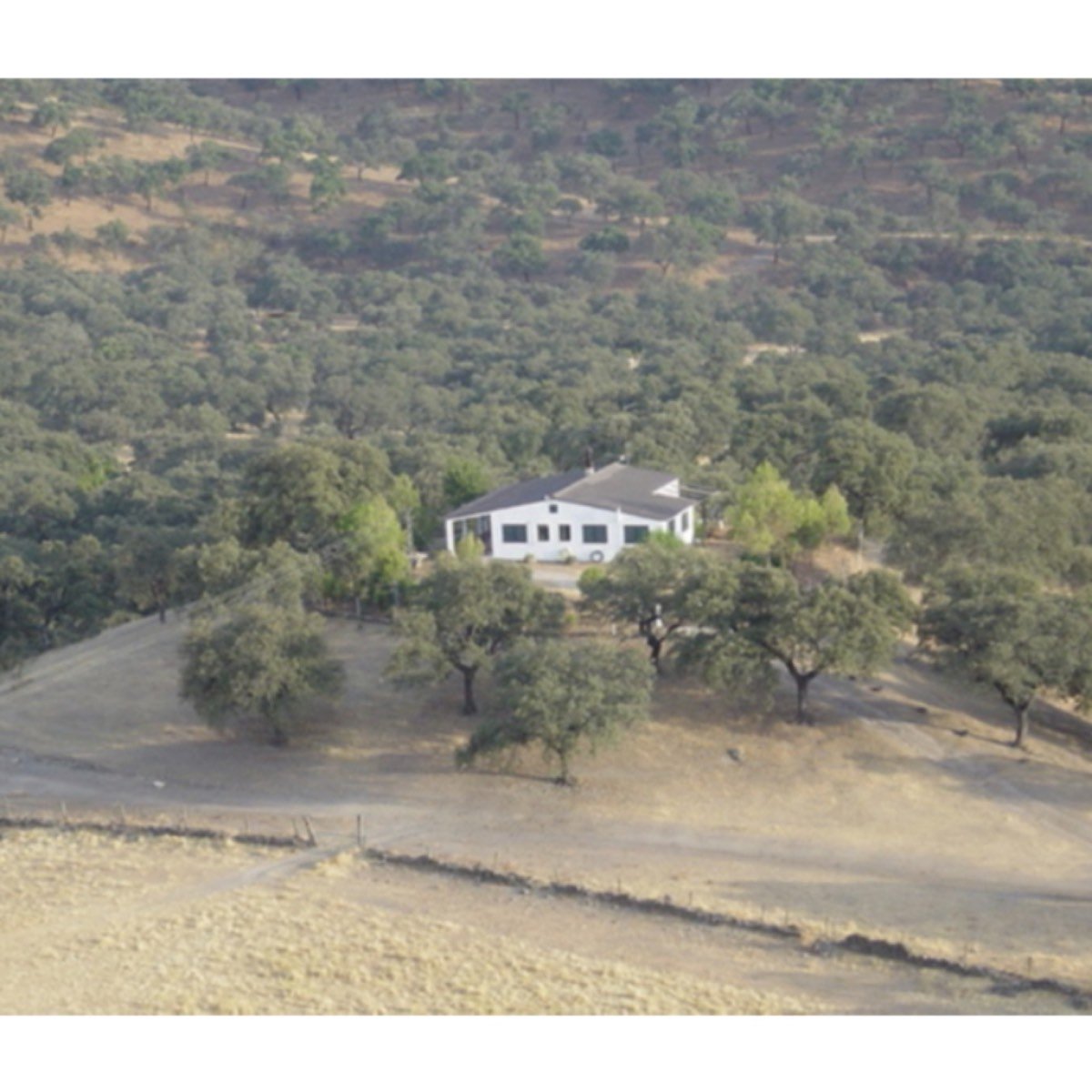 CASA RURAL EN MADROÑO (EL)