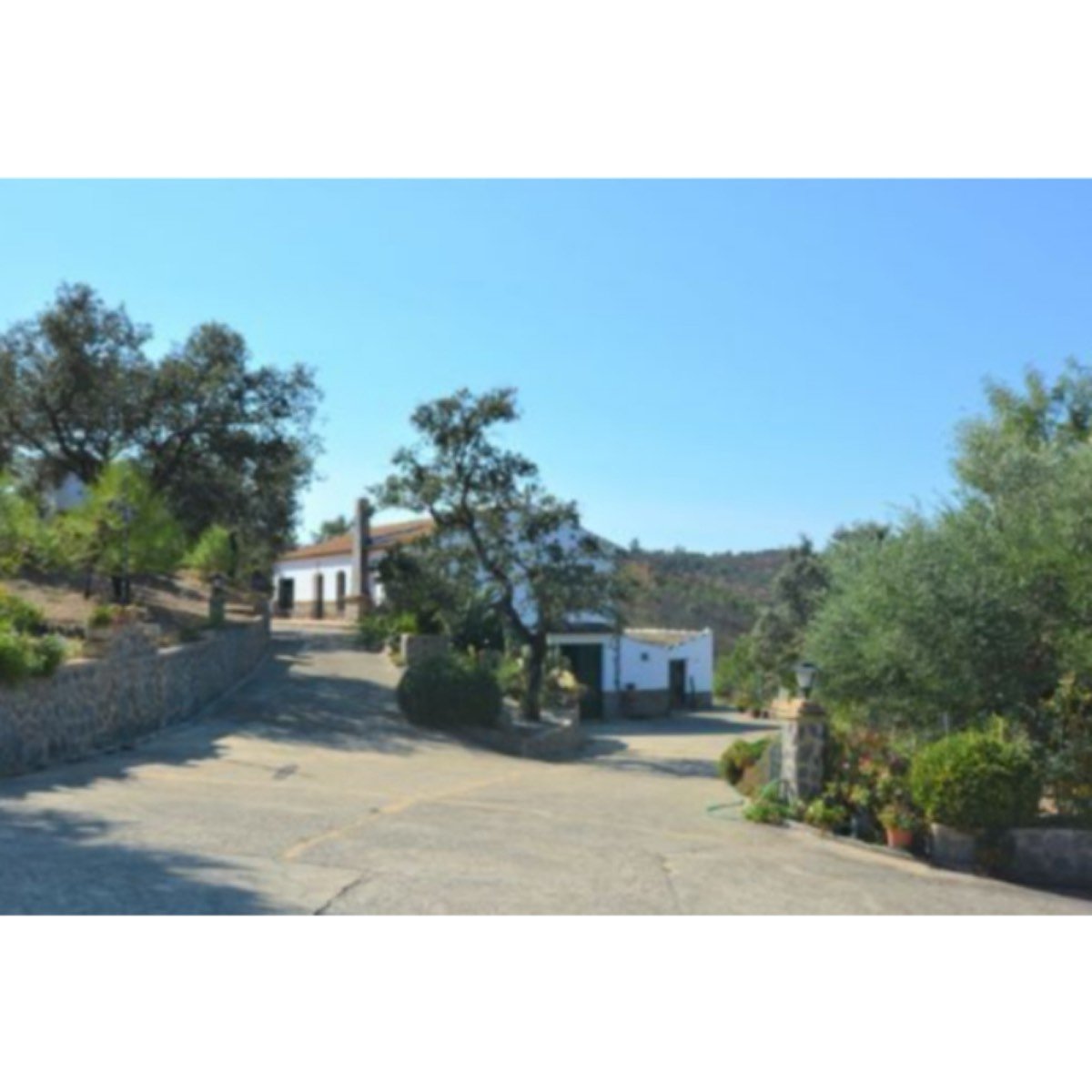 CASA RURAL EN MADROÑO (EL)