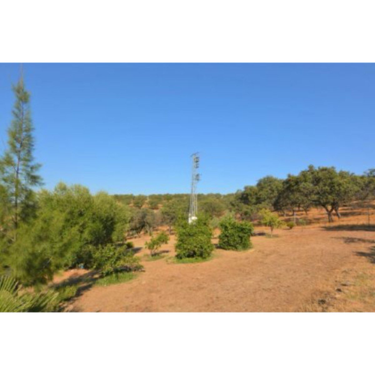 CASA RURAL EN MADROÑO (EL)