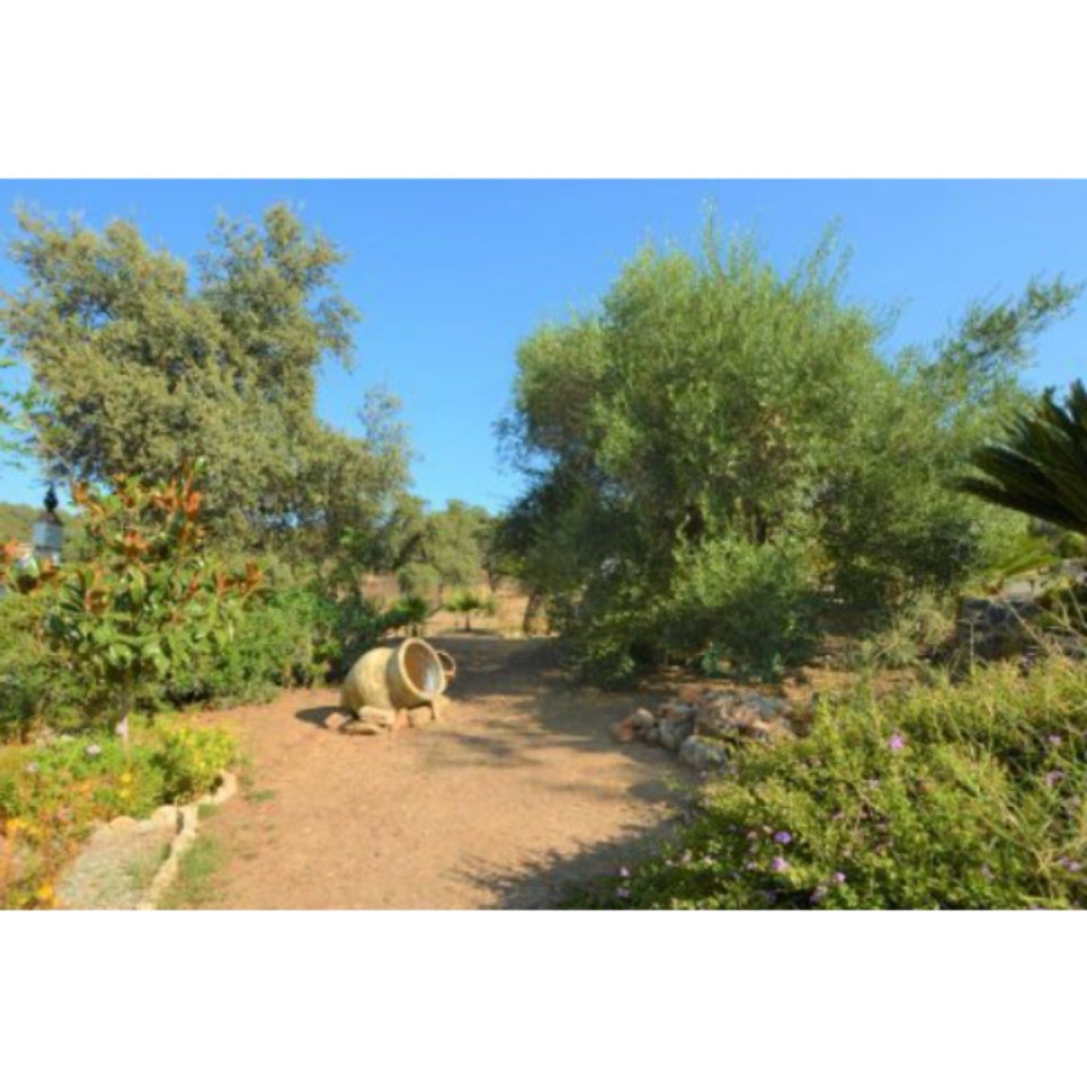 CASA RURAL EN MADROÑO (EL)