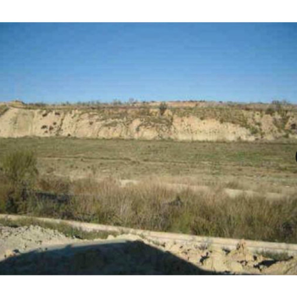 PARCELA PARA CORTIJO, OCIO, PLANTACIONES