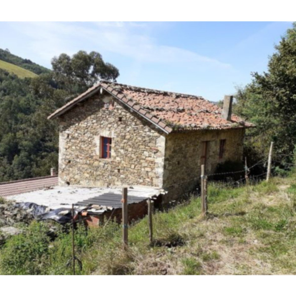 TÍPICA CASA ASTURIANA Y FINCA EN FAEDO