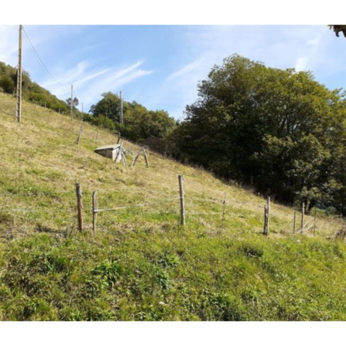 TÍPICA CASA ASTURIANA Y FINCA EN FAEDO