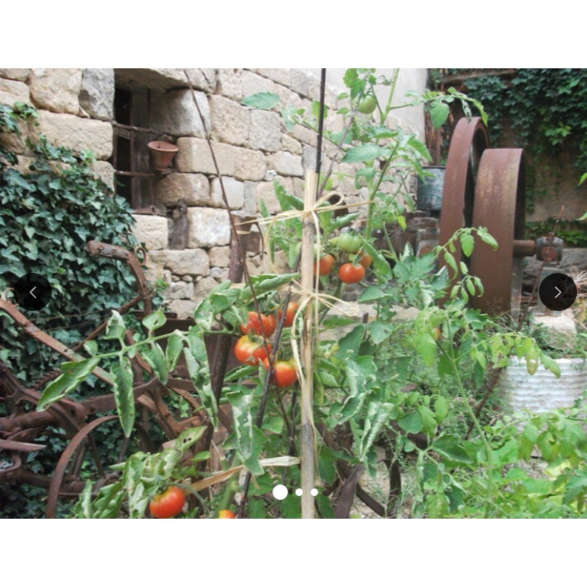 ARTESANA Y RURAL. . .