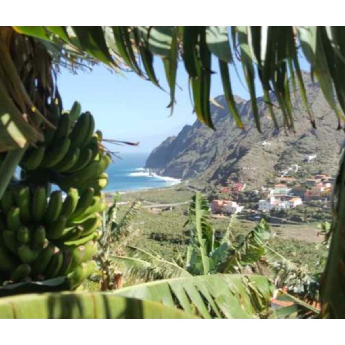 VENTA CASA + FINCA LA GOMERA