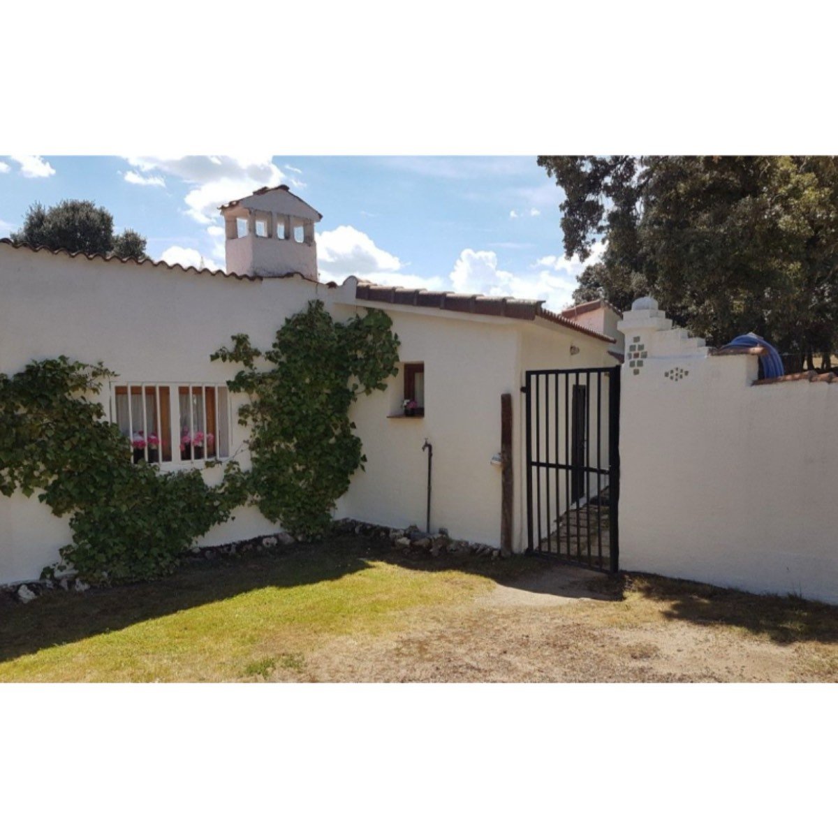 Se vende preciosa dehesa de encinas con golf