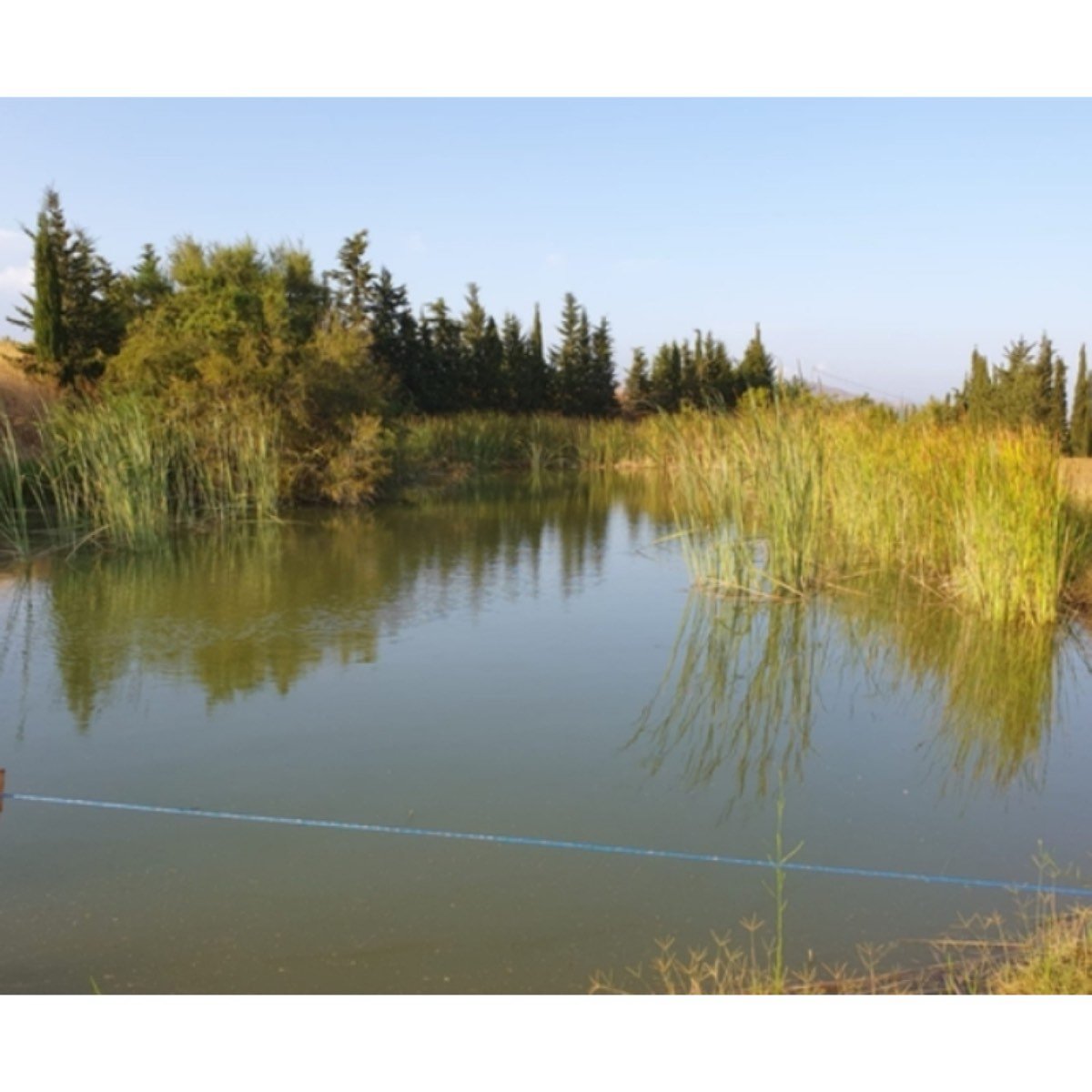 SE VENDE GRAN FINCA DE 44. 000M2