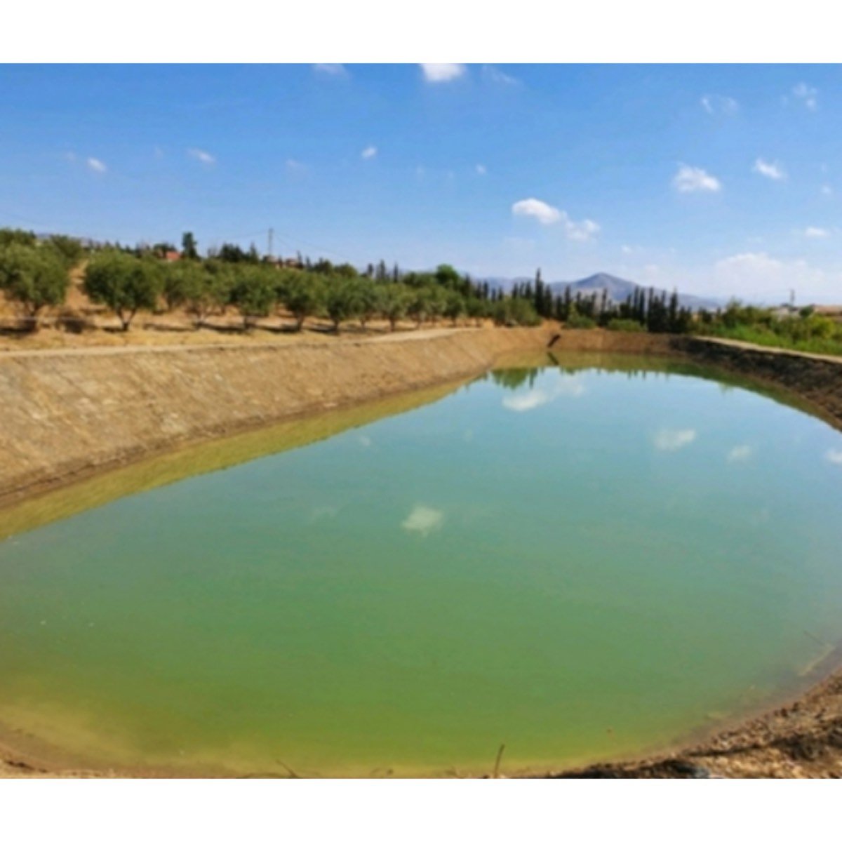 SE VENDE GRAN FINCA DE 44. 000M2