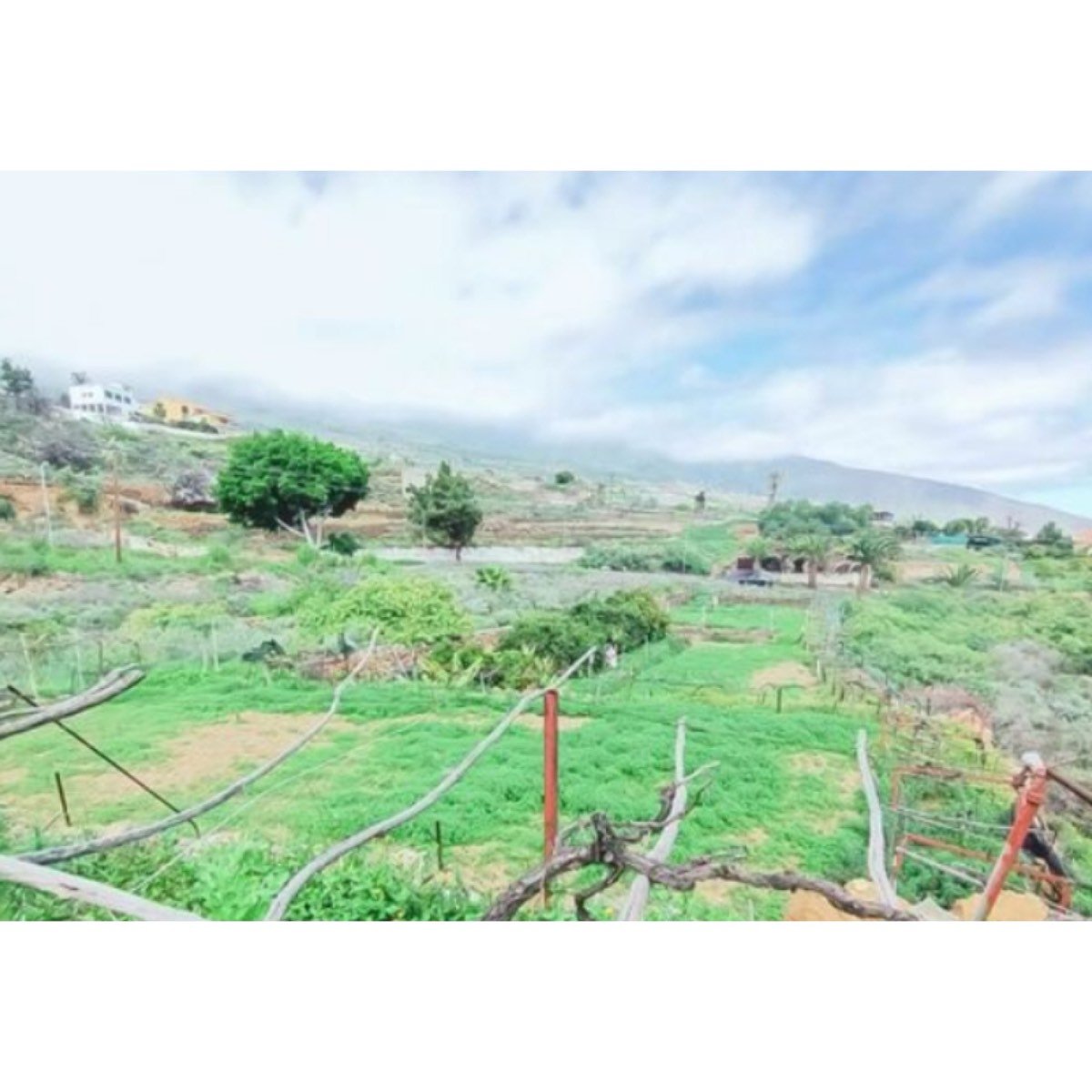 SE VENDE TERRENO EN TF-245,