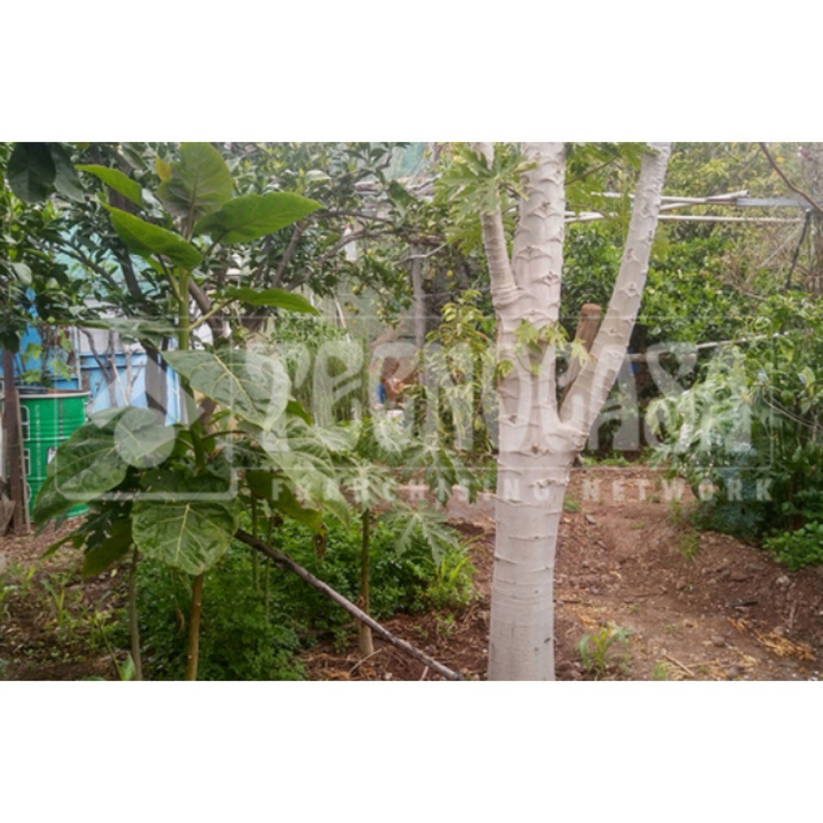 SE VENDE VIVIENDA EN SANTA LUCÍA DE TIRAJANA