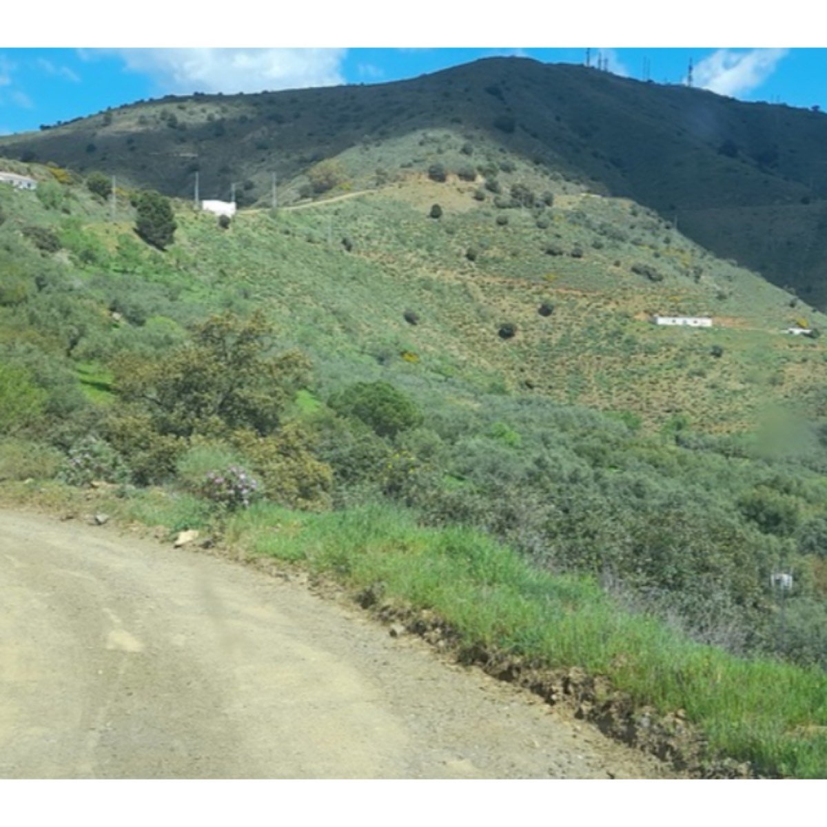 SE VENDE FINCA SANTO PITAR- COMARES