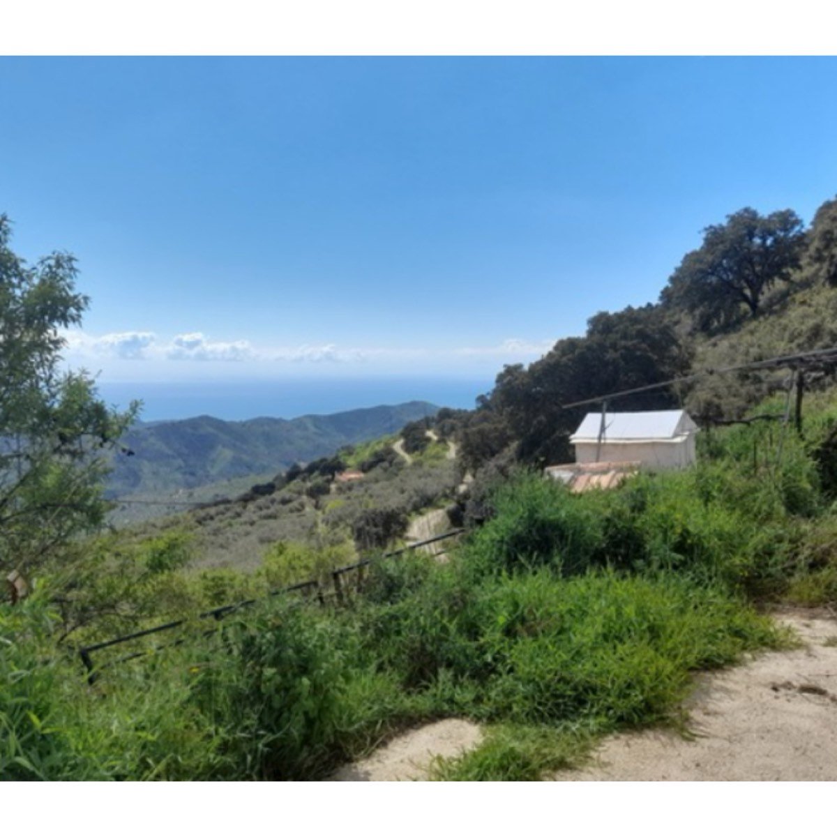SE VENDE FINCA SANTO PITAR- COMARES