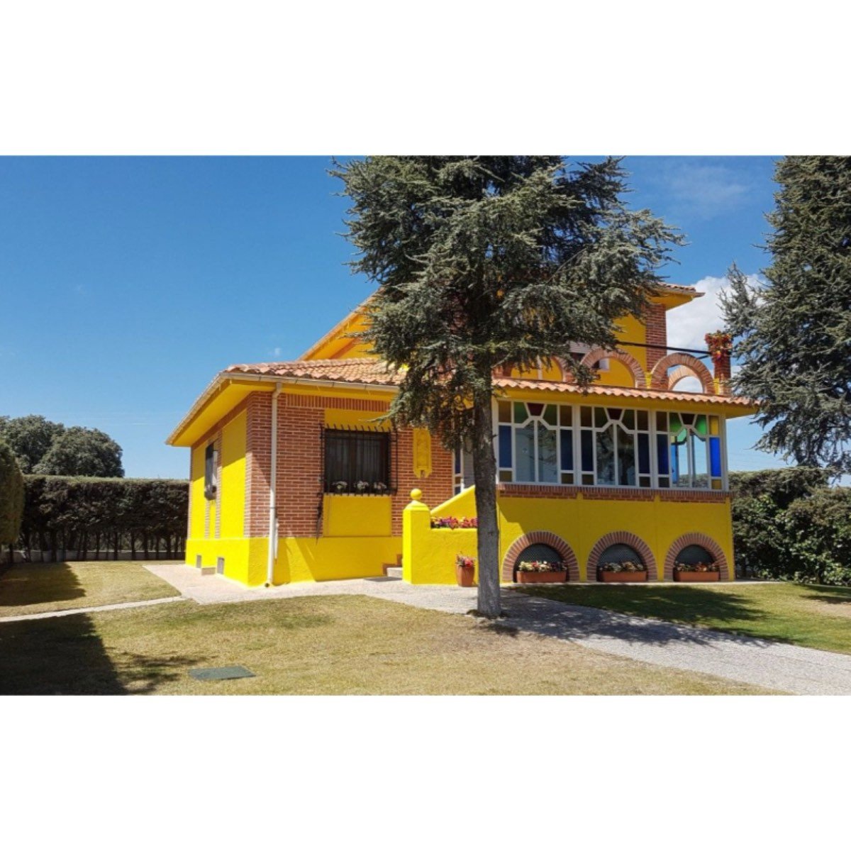 Se vende preciosa dehesa de encinas con golf