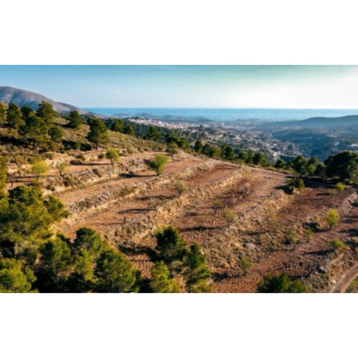 SE VENDE FINCA A 10 MINUTOS DE LA PLAYA DE BENIDORM