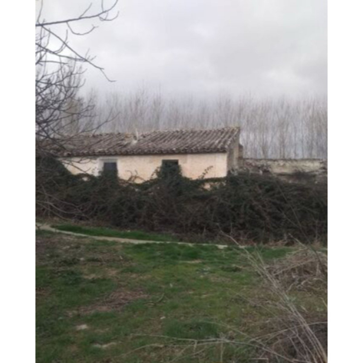 SE VENDE FINCA EN CANILES