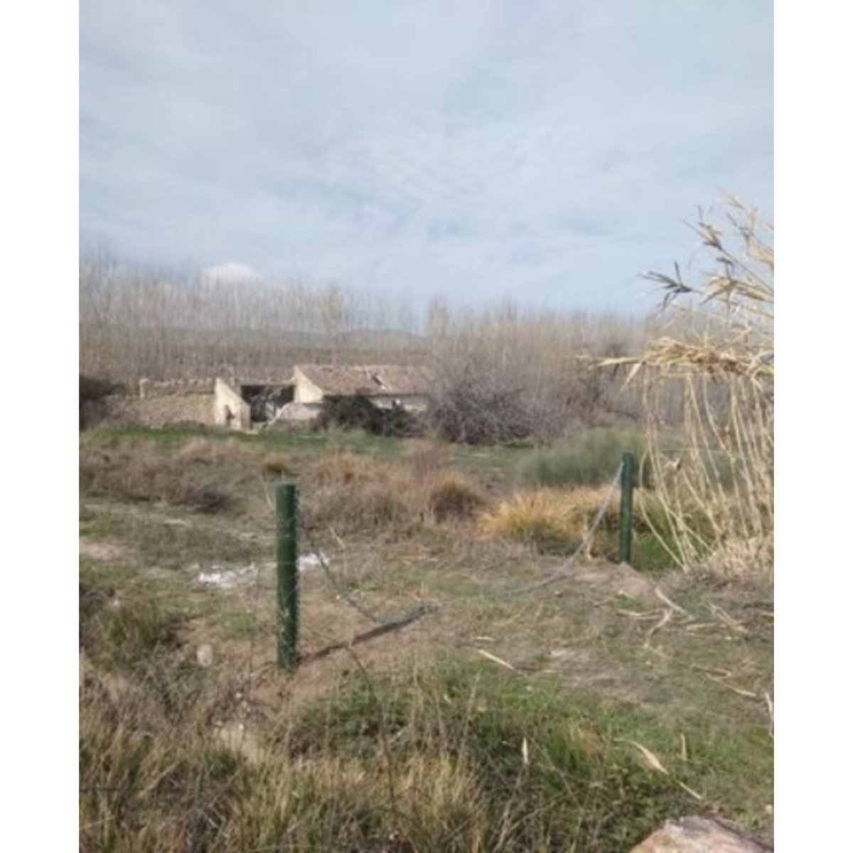 SE VENDE FINCA EN CANILES